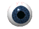 Eye-03-june.gif