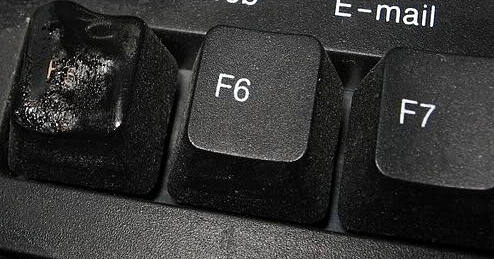 f5.jpg
