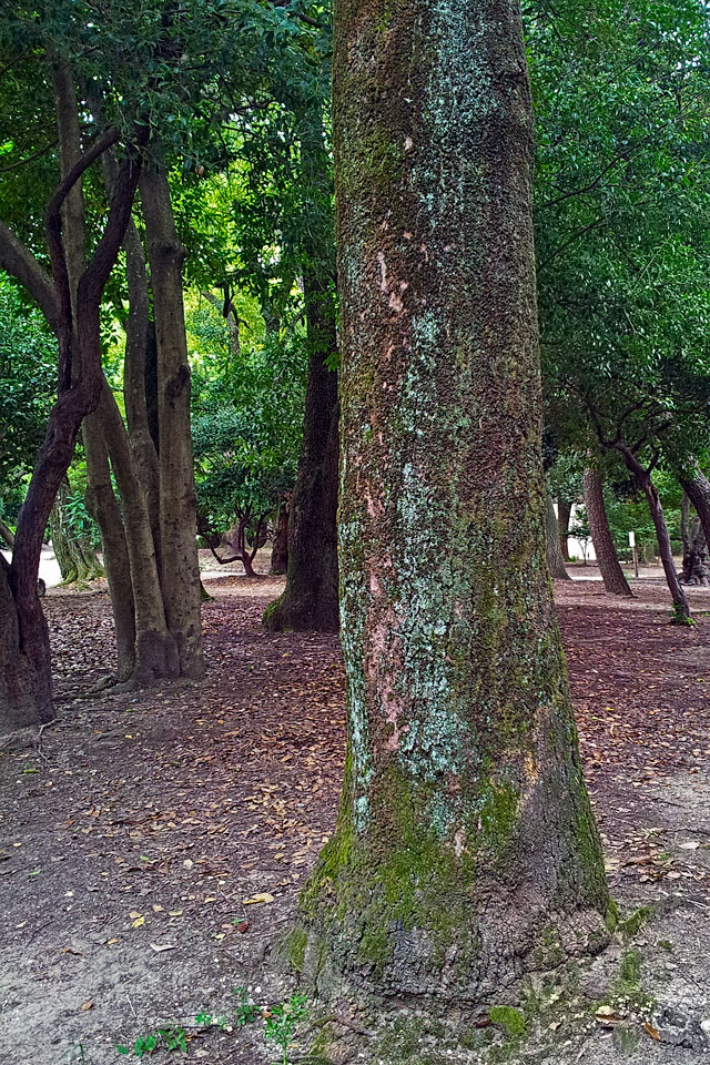 20120906_160138.jpg