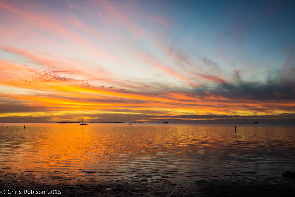 DSC02095-XL.jpg