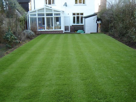 grass-lawn.jpg