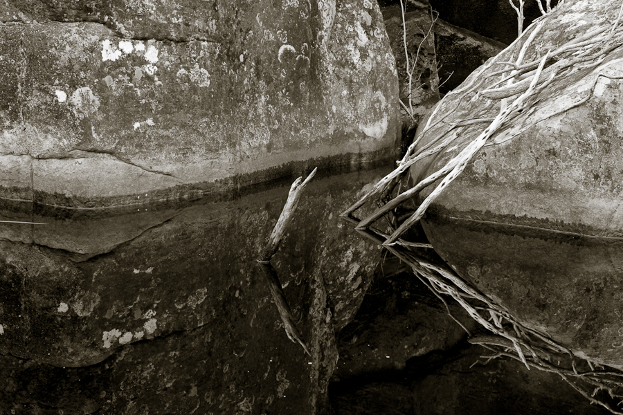MG_2216.jpg