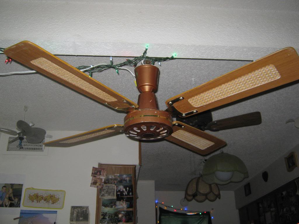 IMG_1015.jpg