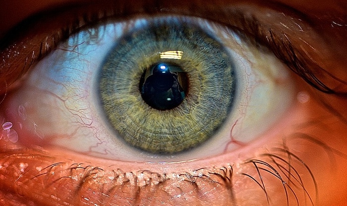iris.jpg