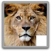 lion.png