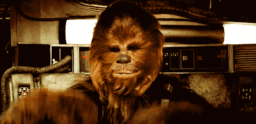 XHgj8d6.gif