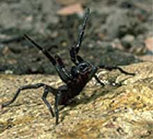 fwebphoto.jpg