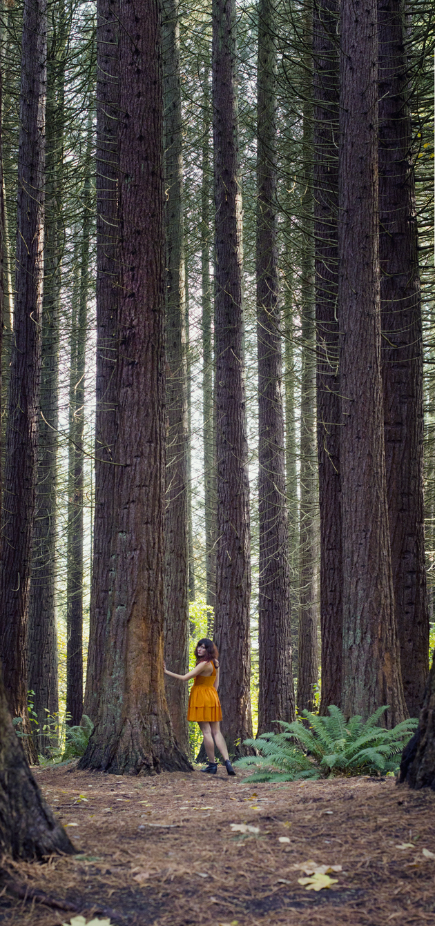 giant_tree_girl_s.jpg