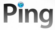 ping2.jpg