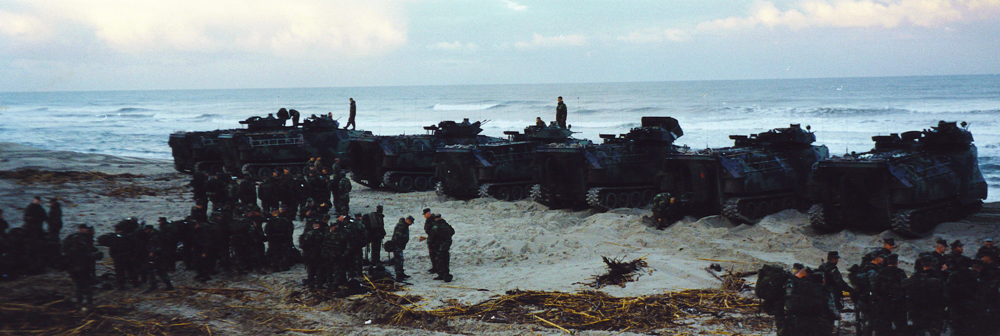 AAV04.jpg