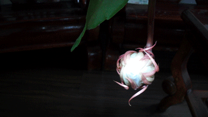 7f8a930bgw1dw72e19hcag.gif