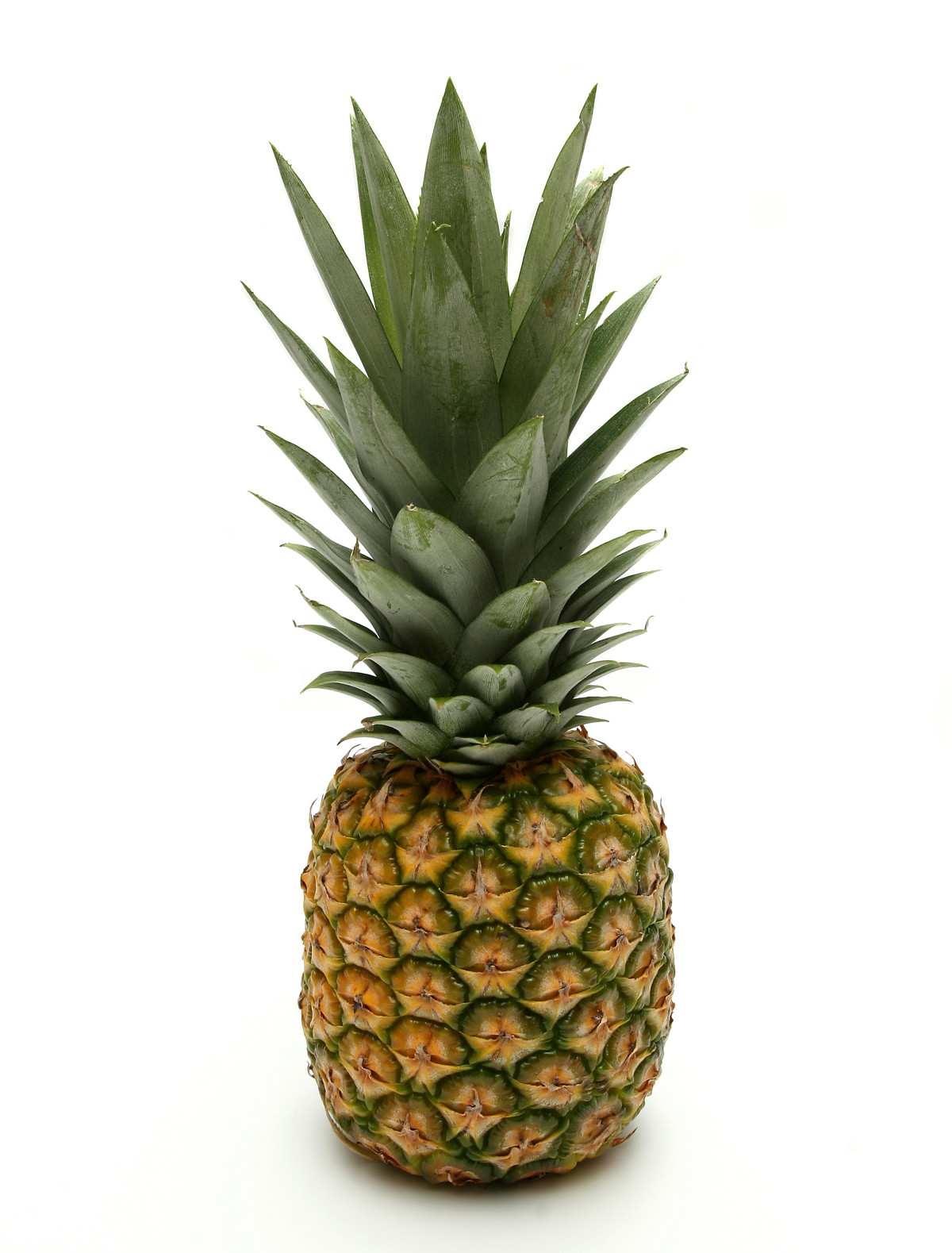 pineapple.jpg
