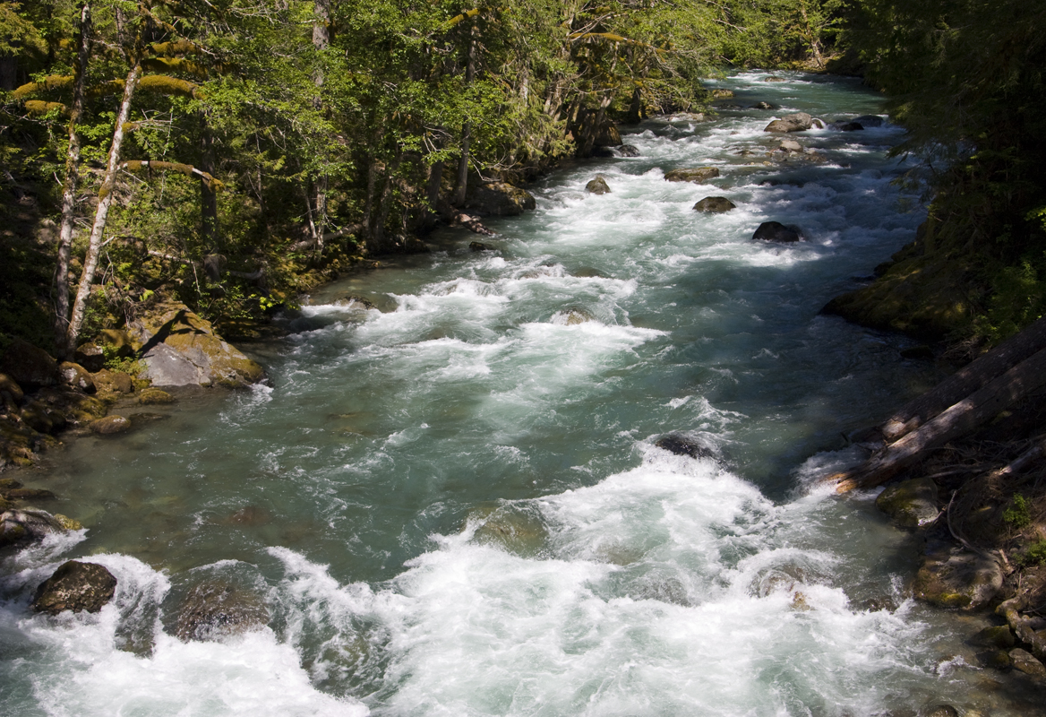 ohanapecoshupstream1.jpg
