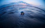 home_for_a_hermit_by_peehs-d59k7ps.jpg