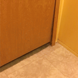 WAuK6co.gif