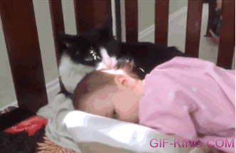 gif-king-66b12a4693dc2a6be122751567b259f8.gif
