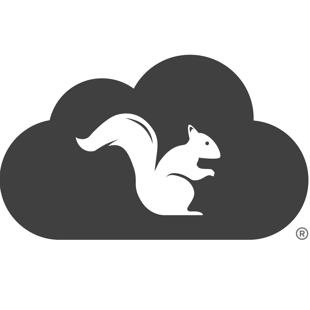store.airsquirrels.com