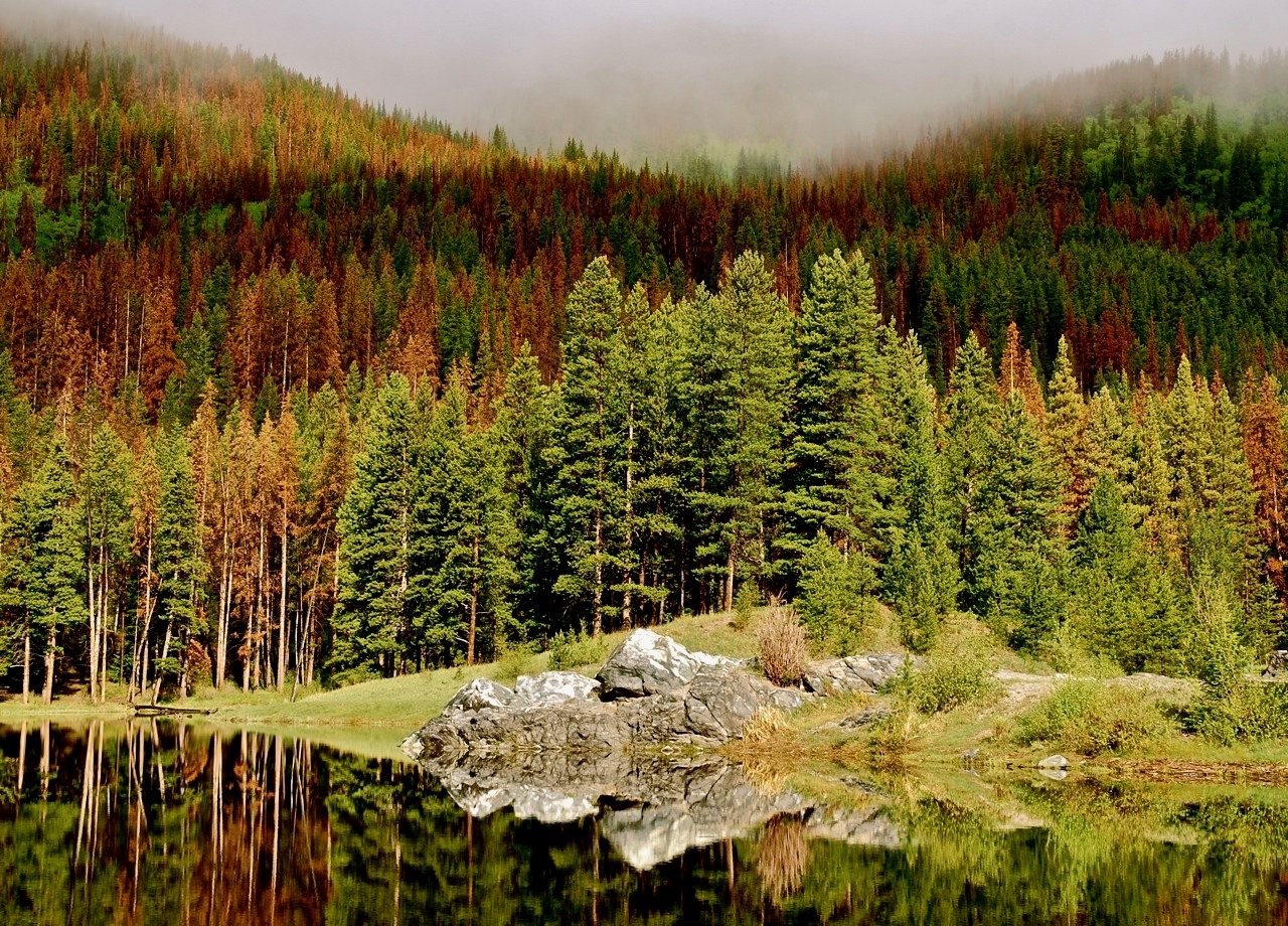 insideclimatenews.org