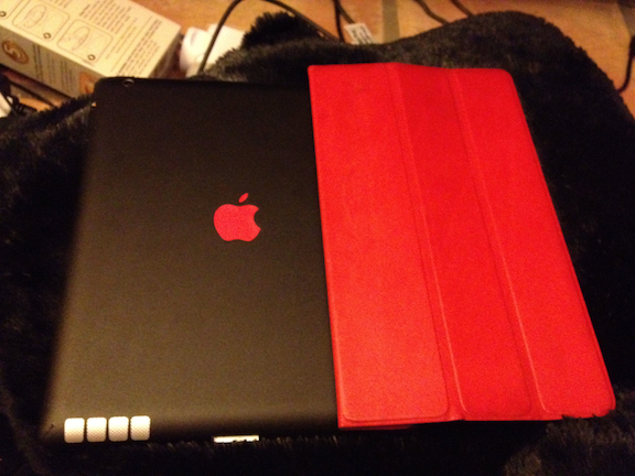 ipadskinsb1.jpg