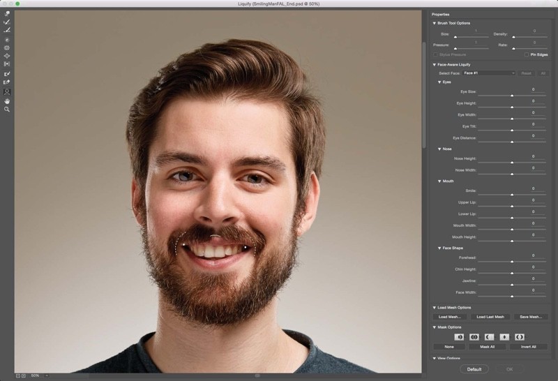 adobefaceawareliquify-800x546.jpg
