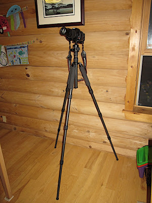IMG_5582.jpg