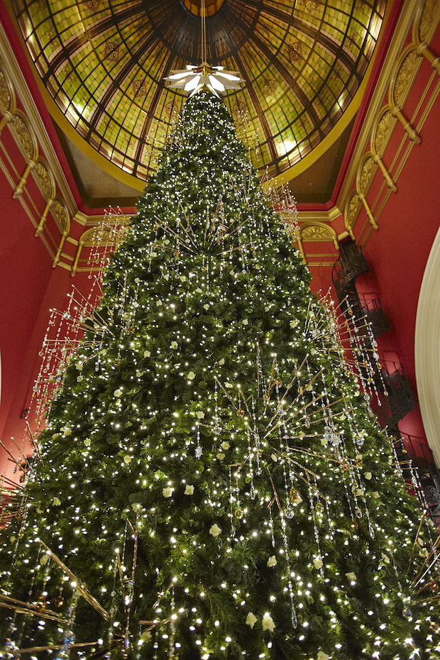 Christmas-tree.jpg
