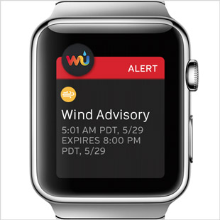 screenshot-watch.jpg
