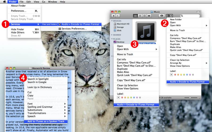 services-splash-900x562.jpg