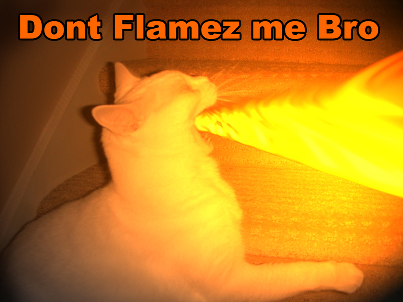 lolcats16.jpg