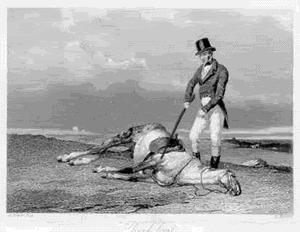 Beat_a_Dead_Horse_animated.gif