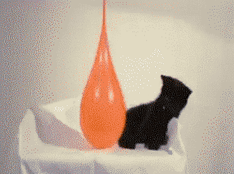 HandsomeVictoriousFlamingo-size_restricted.gif
