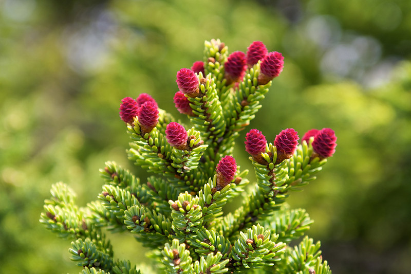 PHD_3759-L.jpg
