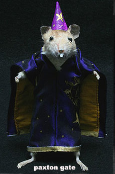 deadmouse-3.jpg