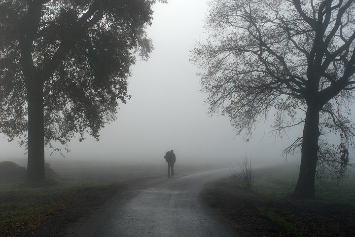 fog.jpg