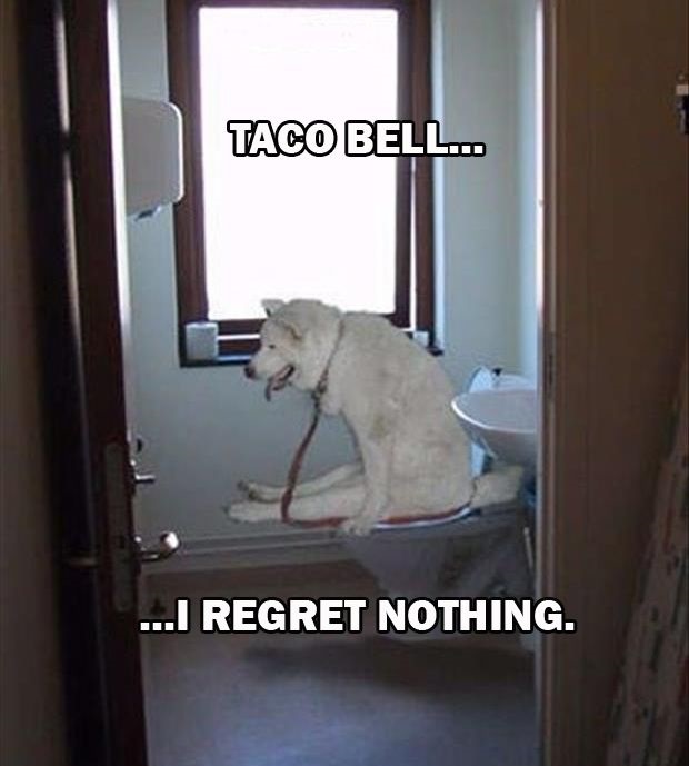 funny-taco-bell-i-regret-nothing-01.jpg