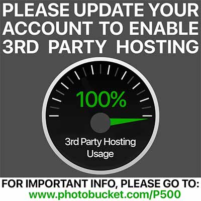 IMG_1590_zps694f9771.png