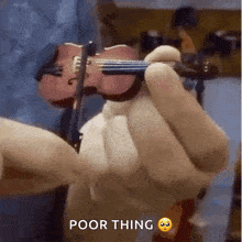 Smallest Violin GIFs | Tenor