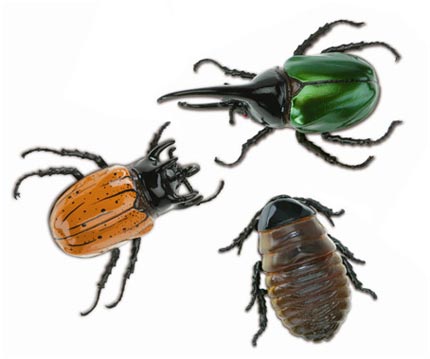 bugs.jpg