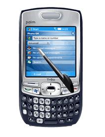 palmtreo750.jpg