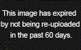 Don+t+feed+dem+trolls+_6e538688b06eb0c561a097ec601fde8a.jpg