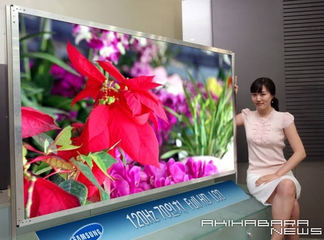 samsung_electronics_70inch_lcd_tv_panel.jpg