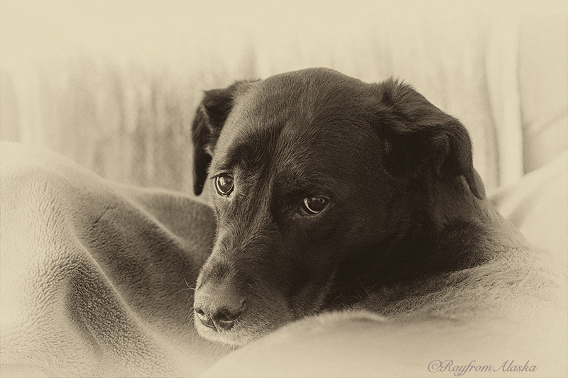 Nik3-21_1312-L.jpg