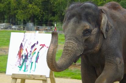 elephant-1.jpg