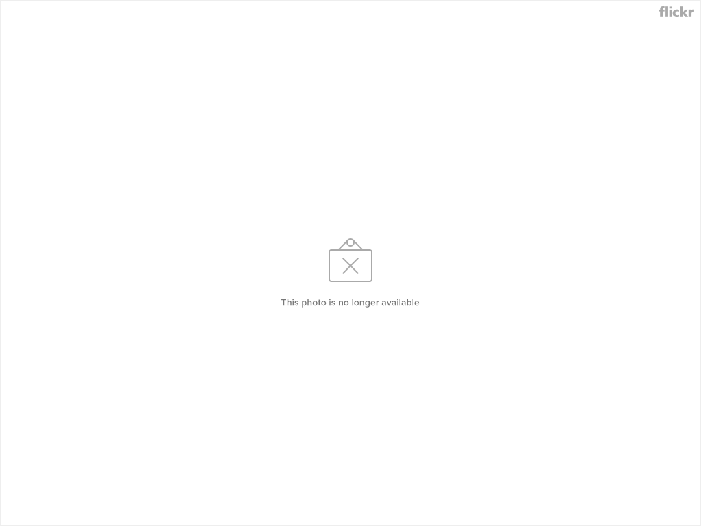 4668050062_dd9b0438ba_b.jpg