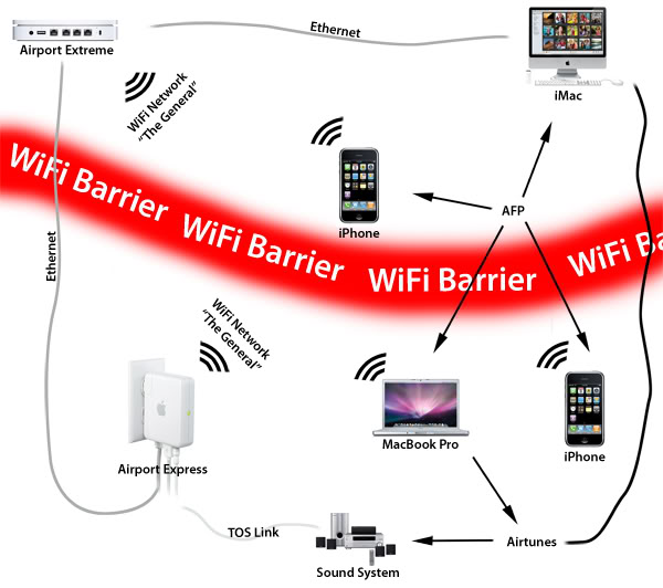network.jpg