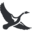 www.eddiebauer.com