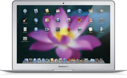 235932-lion_springboard1_20101020_500.jpg