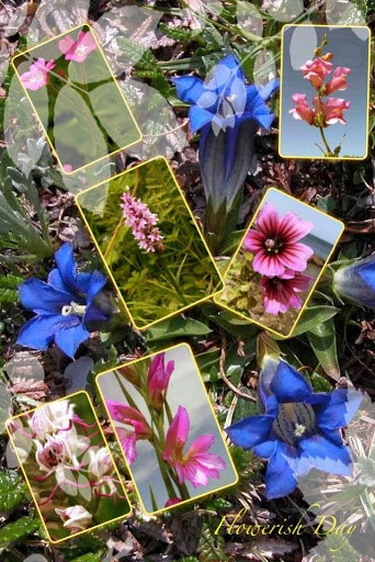 image_9.jpg