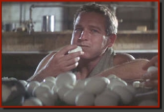 cool_hand_luke_50_eggs.jpg