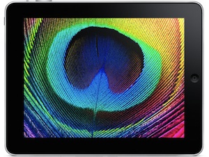 095750-ipad_display_300.jpg